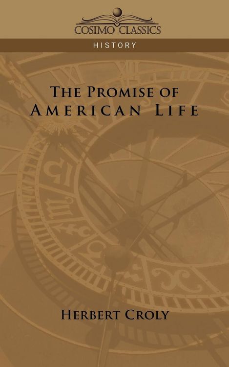 Produktbild: The Promise of American Life