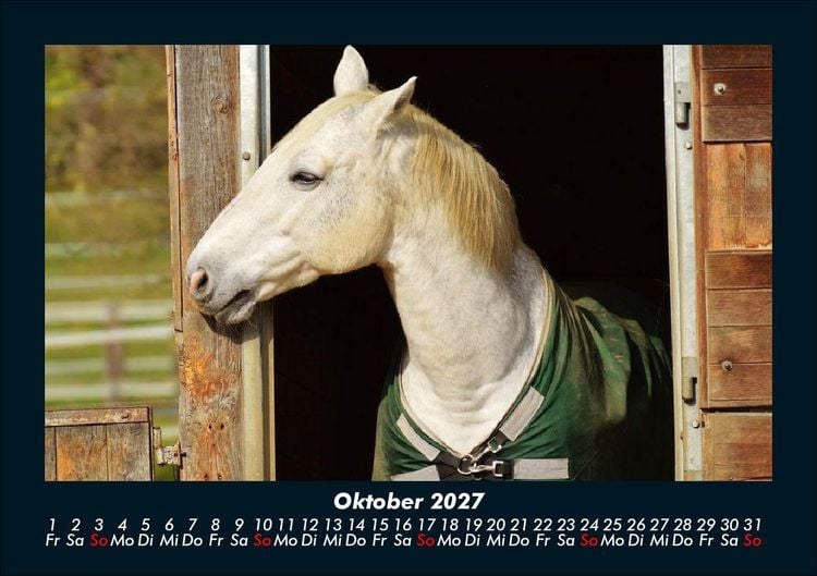 Produktbild: Tierkalender 2027 Fotokalender DIN A5