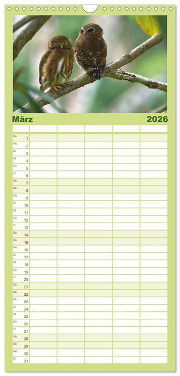 Produktbild: Familienplaner 2026 - Costa Ricas gefiederte Pracht mit 5 Spalten (Wandkalender, 21 x 45 cm) CALVENDO