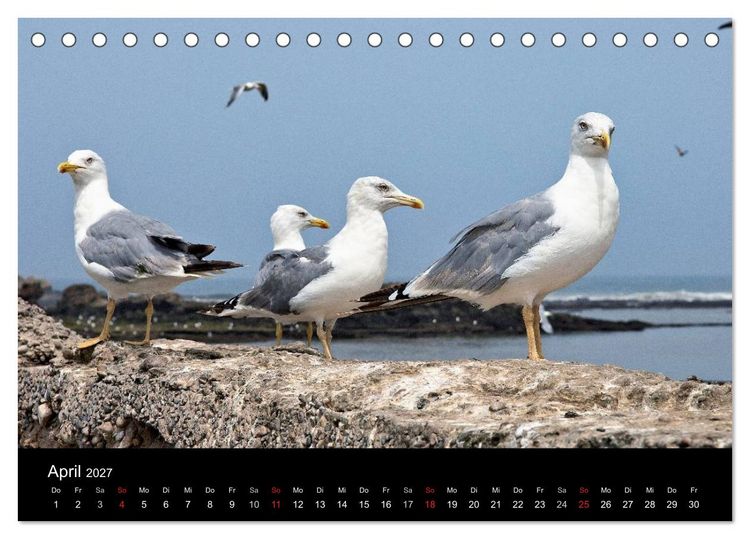 Produktbild: Essaouira. Marokko (Tischkalender 2027 DIN A5 quer), CALVENDO Monatskalender