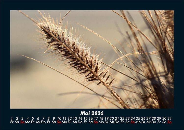 Produktbild: Natur 2026 Fotokalender DIN A5