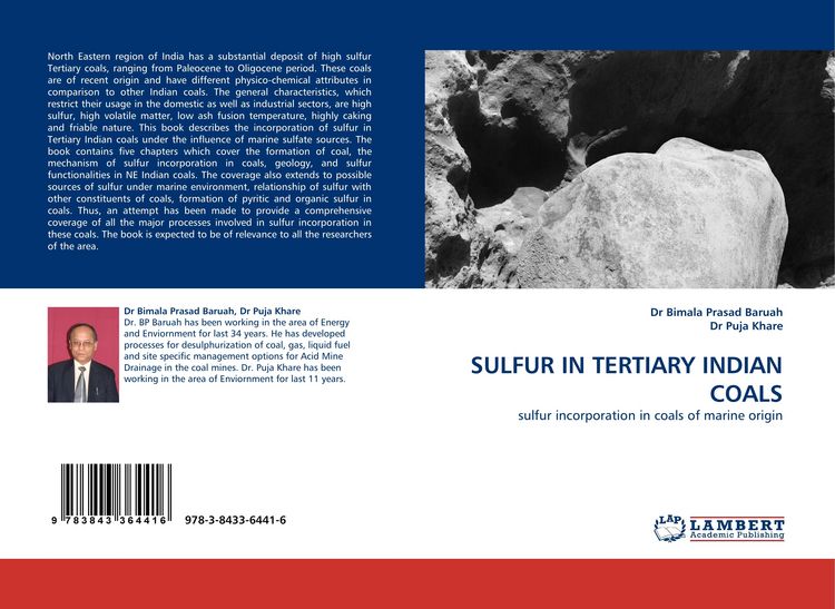 Produktbild: SULFUR IN TERTIARY INDIAN COALS