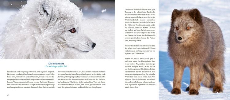 Produktbild: Spitzbergen
