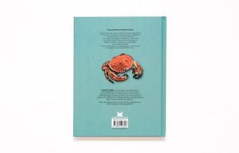 Produktbild: Kreuzschraffur mit Feder, Stift und Tusche.