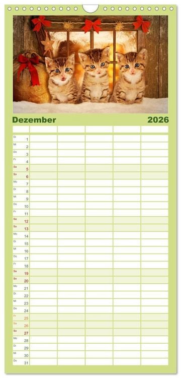 Produktbild: Familienplaner 2026 - K&auml;tzchen 2026 mit 5 Spalten (Wandkalender, 21 x 45 cm) CALVENDO