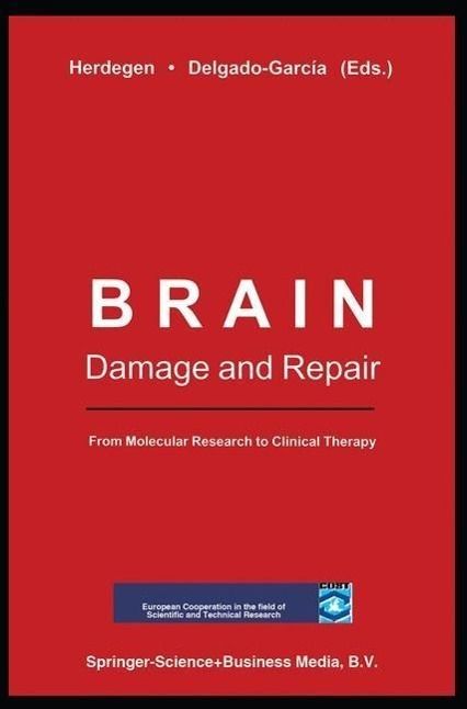 Produktbild: Brain Damage and Repair