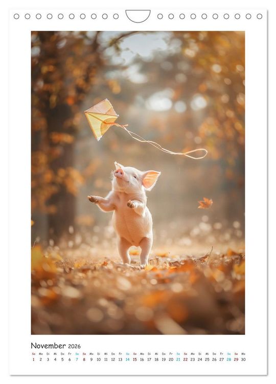 Produktbild: Schwein gehabt (Wandkalender 2026 DIN A4 hoch), CALVENDO Monatskalender