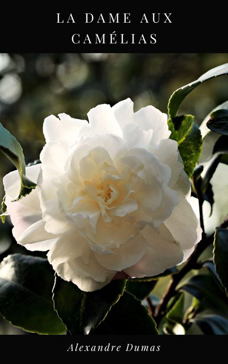 Produktbild: La Dame aux Cam&eacute;lias