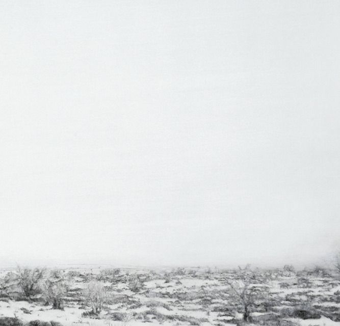 Produktbild: Catalina Pab&oacute;n
