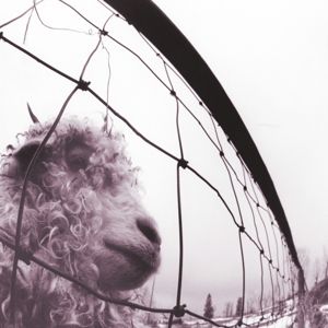 Produktbild: Vs. (30th Anniversary Edition)