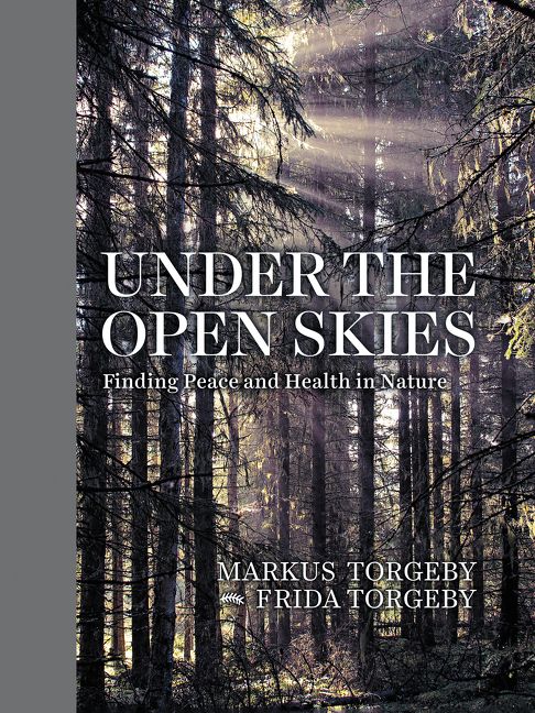Produktbild: Under the Open Skies
