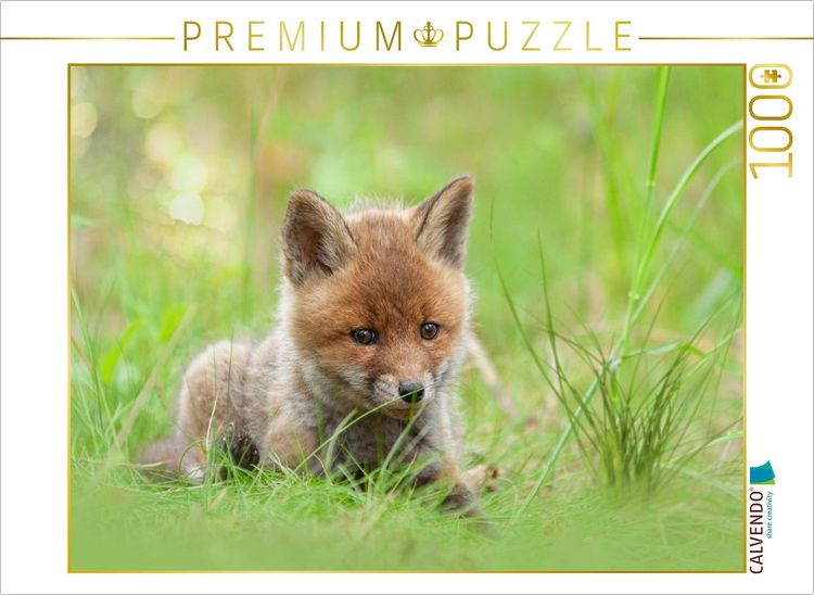 Produktbild: CALVENDO Puzzle Ein Motiv aus dem Kalender F&uuml;chse - zauberhafte Seelen | 1000 Teile Lege-Gr&ouml;&szlig;e 64x48cm Foto-Puzzle f&uuml;r gl&uuml;ckliche Stunden