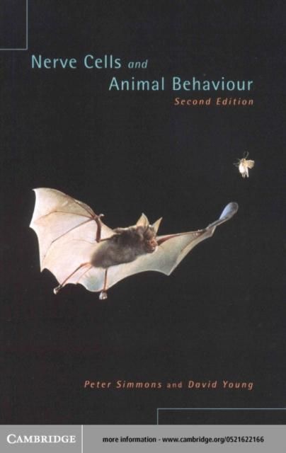 Produktbild: Nerve Cells and Animal Behaviour