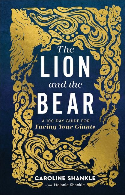 Produktbild: The Lion and the Bear
