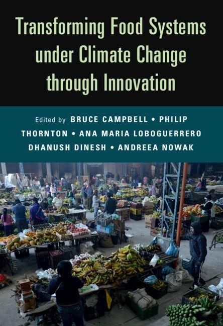 Produktbild: Transforming Food Systems Under Climate Change through Innovation