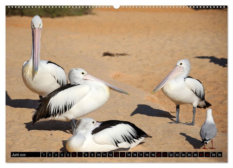 Produktbild: West-Australien (hochwertiger Premium Wandkalender 2026 DIN A2 quer), Kunstdruck in Hochglanz