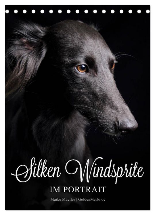 Produktbild: Silken Windsprite im Portrait (Tischkalender 2026 DIN A5 hoch), CALVENDO Monatskalender