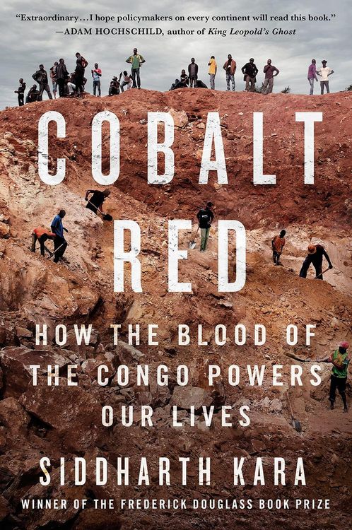 Produktbild: Rosso cobalto. Come il sangue del Congo alimenta le nostre vite