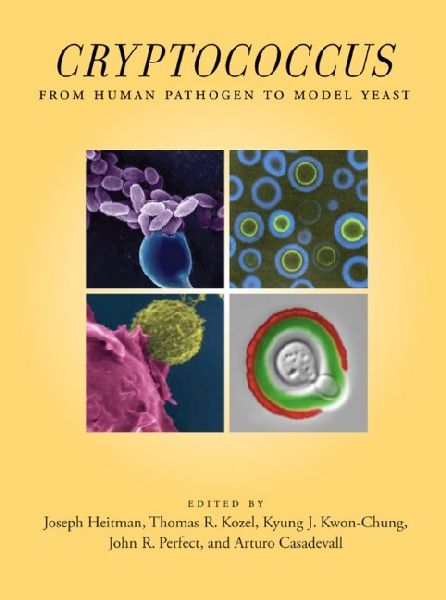Produktbild: Cryptococcus
