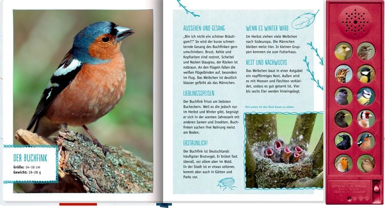 Produktbild: V&ouml;gel in unserem Garten