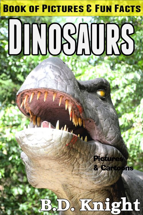 Produktbild: Dinosaurs - Book of Pictures & Fun Facts