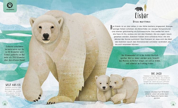Produktbild: Tiere: 50 Geschichten &uuml;ber Mammut, Panda, Elefant und Co.