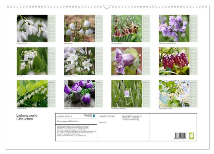 Produktbild: Liebenswerte Gl&ouml;ckchen (Wandkalender 2026 DIN A2 quer), CALVENDO Monatskalender