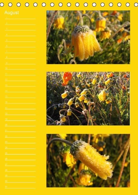 Produktbild: Zauberwelt der Blumen - Eiskristalle & Wasserperlen / Geburtstagskalender (Tischkalender immerw&auml;hrend DIN A5 hoch)
