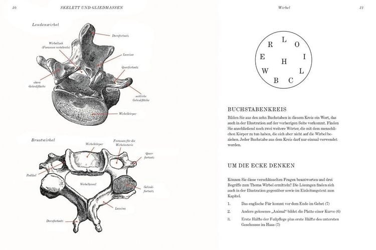 Produktbild: GRAY&rsquo;S ANATOMIE R&Auml;TSELBUCH