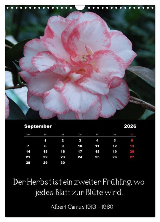 Produktbild: Spr&uuml;che und Zitate ber&uuml;hmter Personen &uuml;ber Blumen und Natur (Wandkalender 2026 DIN A3 hoch), CALVENDO Monatskalender