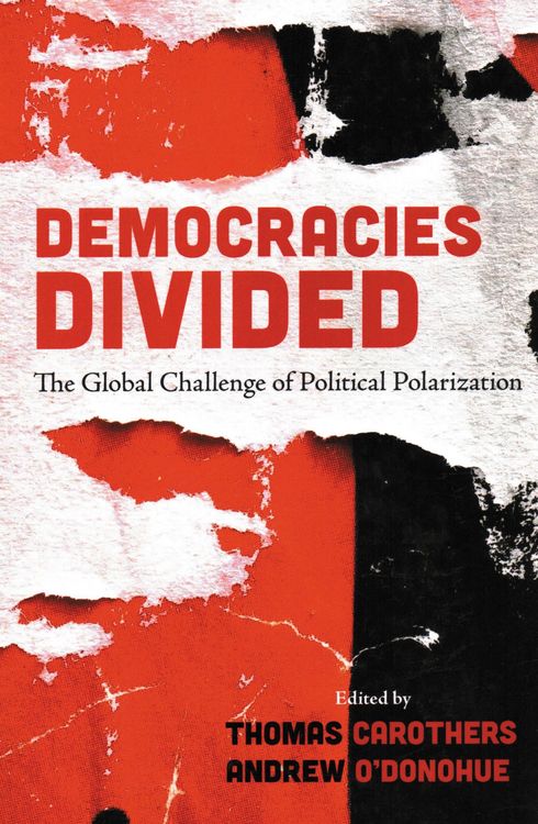 Produktbild: Democracies Divided
