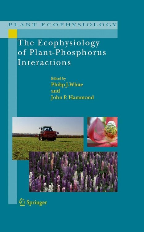 Produktbild: The Ecophysiology of Plant-Phosphorus Interactions