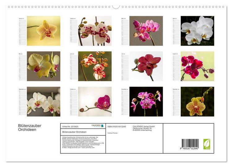 Produktbild: Bl&uuml;tenzauber Orchideen (hochwertiger Premium Wandkalender 2026 DIN A2 quer), Kunstdruck in Hochglanz