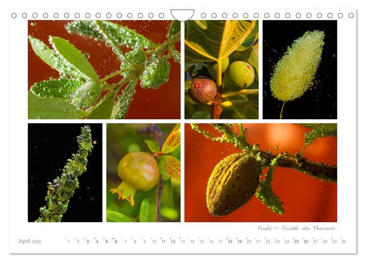 Produktbild: Sehnsucht Provence - Land des Lichts (Wandkalender 2026 DIN A4 quer), CALVENDO Monatskalender