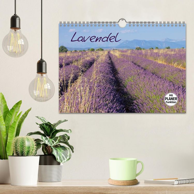 Produktbild: Lavendel (Wandkalender 2026 DIN A4 quer), CALVENDO Monatskalender