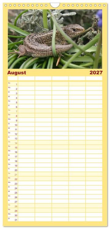 Produktbild: Familienplaner 2027 - Minisaurier im Garten mit 5 Spalten (Wandkalender, 21 x 45 cm) CALVENDO