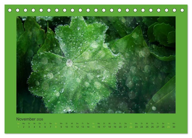 Produktbild: 12 Farben (Tischkalender 2026 DIN A5 quer), CALVENDO Monatskalender