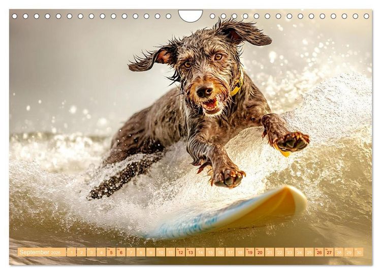 Produktbild: Lustige Sportarten f&uuml;r Hunde (Wandkalender 2026 DIN A4 quer), CALVENDO Monatskalender