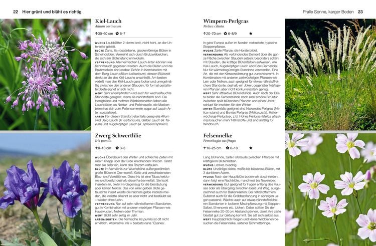 Produktbild: Welche Pflanze passt wohin im Naturgarten?