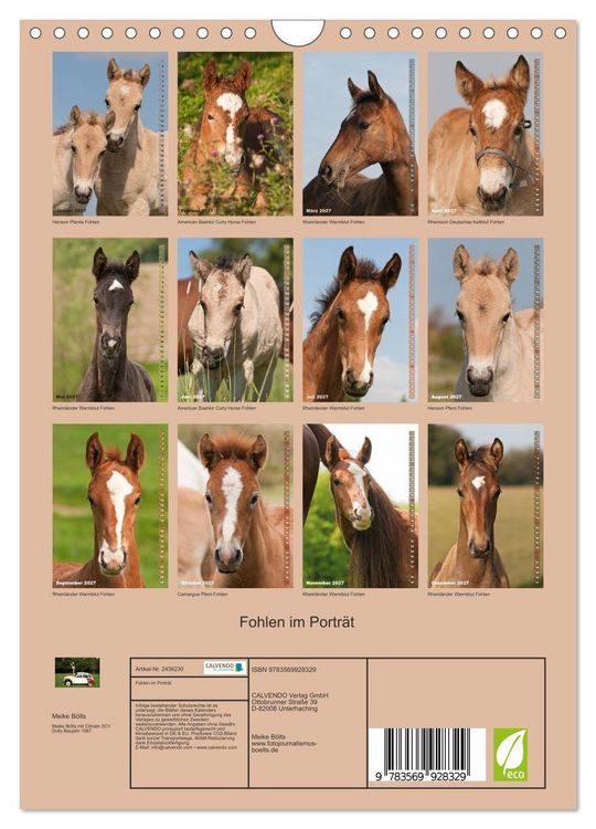 Produktbild: Fohlen im Portr&auml;t (Wandkalender 2027 DIN A4 hoch), CALVENDO Monatskalender