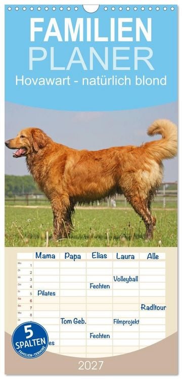 Produktbild: Familienplaner 2027 - Hovawart - nat&uuml;rlich blond mit 5 Spalten (Wandkalender, 21 x 45 cm) CALVENDO