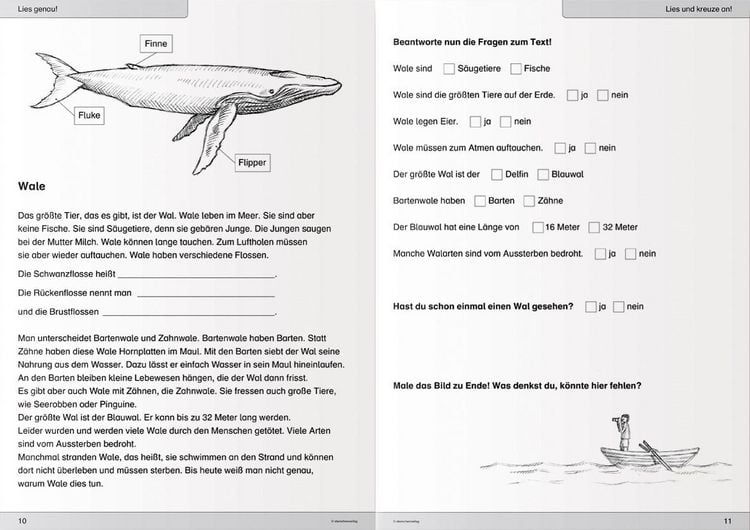 Produktbild: Ich kann lesen 3 - Sch&uuml;lerarbeitsheft f&uuml;r die 2. und 3. Klasse