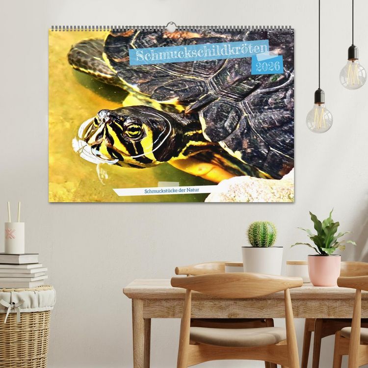 Produktbild: Schmuckschildkr&ouml;ten - Schmuckst&uuml;cke der Natur (Wandkalender 2026 DIN A2 quer), CALVENDO Monatskalender