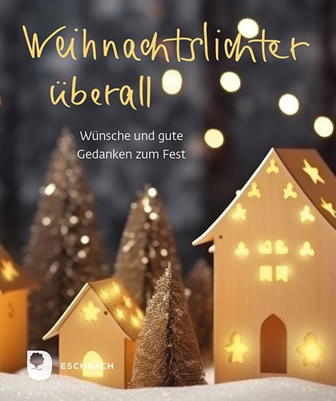 Bild vom Artikel Weihnachtslichter überall vom Autor 
