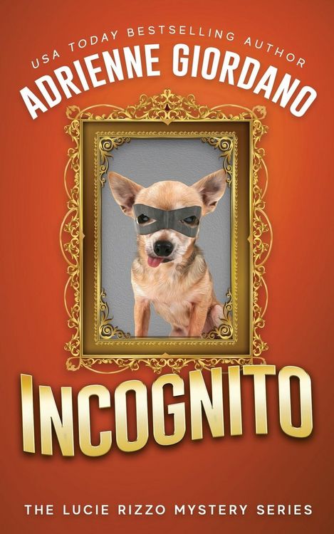 Produktbild: Incognito