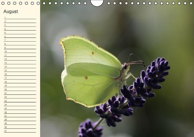 Produktbild: Geburtstagskalender "Nette Kleinigkeiten" (Wandkalender immerw&auml;hrend DIN A4 quer)