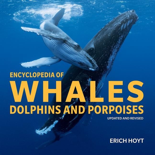 Produktbild: Encyclopedia of Whales, Dolphins and Porpoises