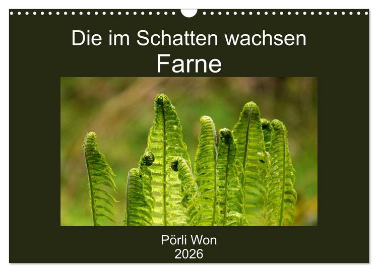 Produktbild: Die im Schatten wachsen - Farne (Wandkalender 2026 DIN A3 quer), CALVENDO Monatskalender