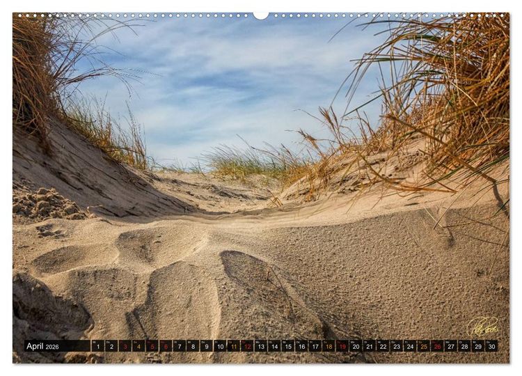Produktbild: Nordsee-D&uuml;nen (Wandkalender 2026 DIN A2 quer), CALVENDO Monatskalender