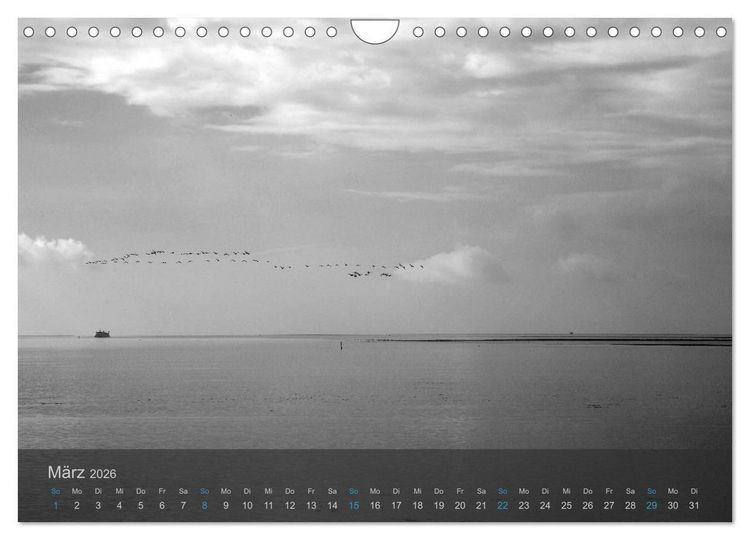 Produktbild: Seest&uuml;cke. Schwarzwei&szlig;e Nordseeimpressionen 2026 (Wandkalender 2026 DIN A4 quer), CALVENDO Monatskalender